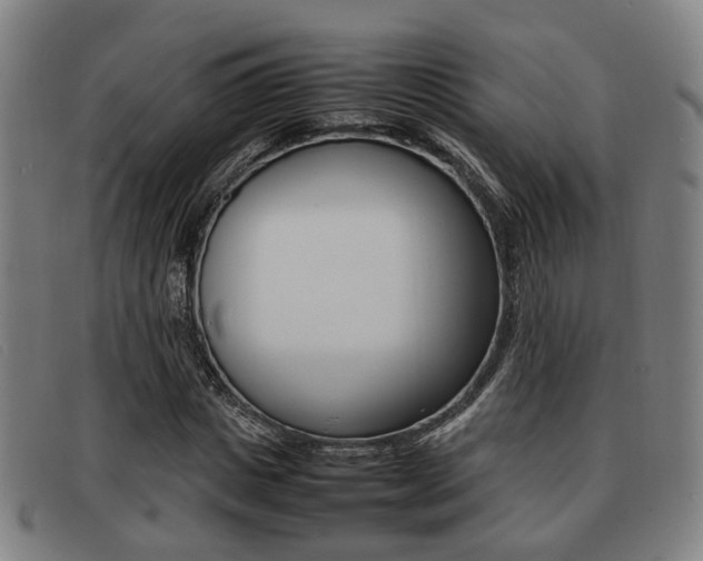 X0000092060825200709121003