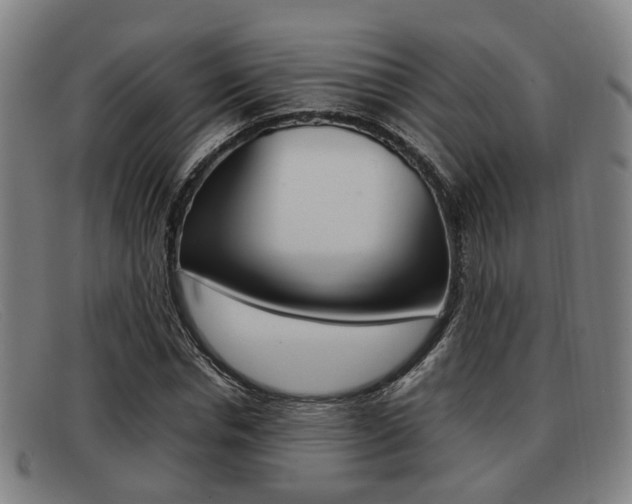 X0000092060826200709121003