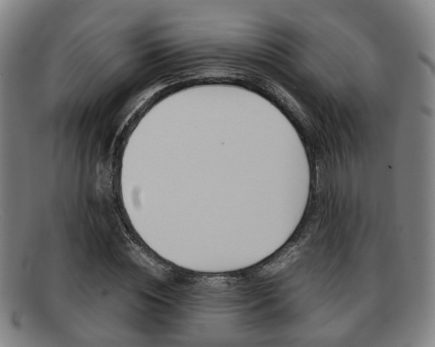 X0000092060828200709121003