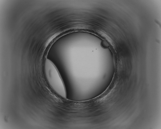 X0000092060829200709121003