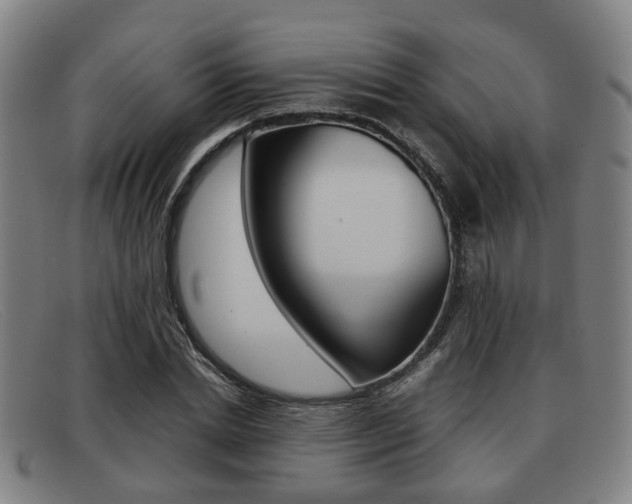 X0000092060830200709121003