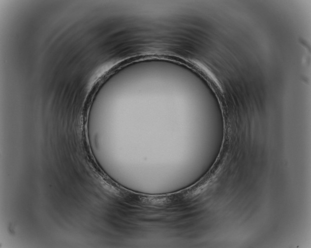 X0000092060831200709121003