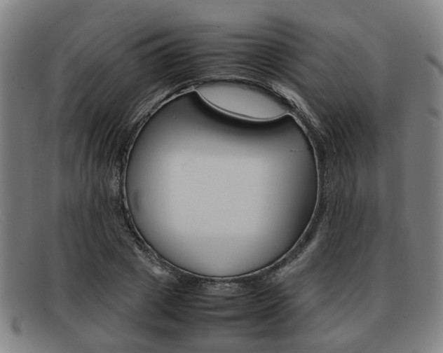 X0000092060833200709121003