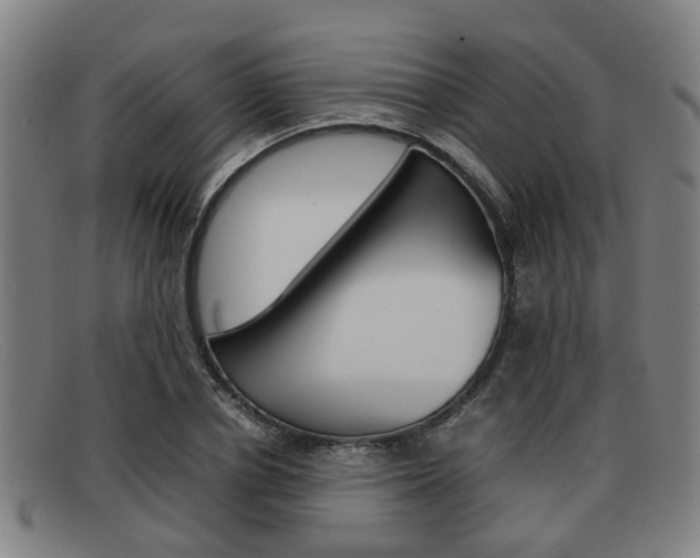 X0000092060834200709121003