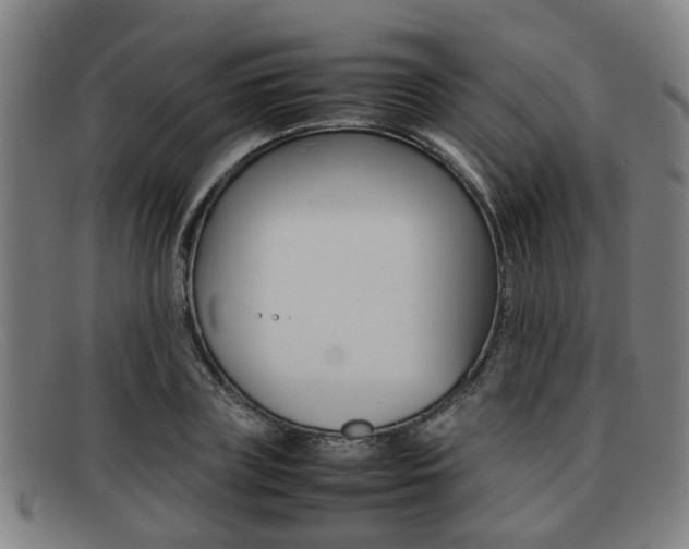 X0000092060835200709121003
