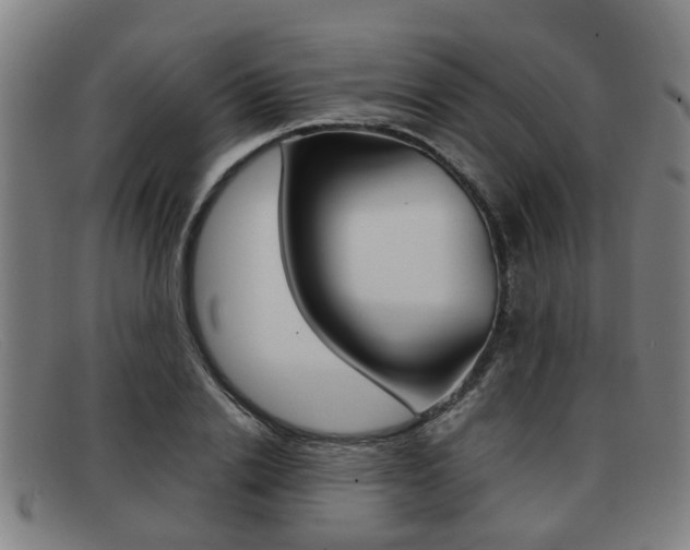 X0000092060838200709121004