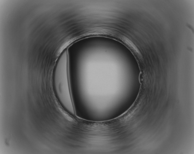X0000092060842200709121004