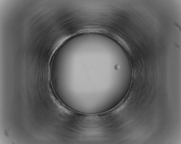 X0000092060844200709121004