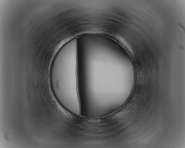 X0000092060845200709121004