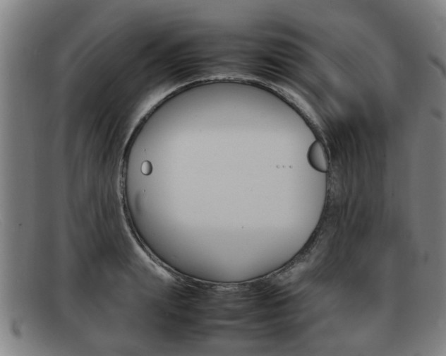 X0000092060847200709121004
