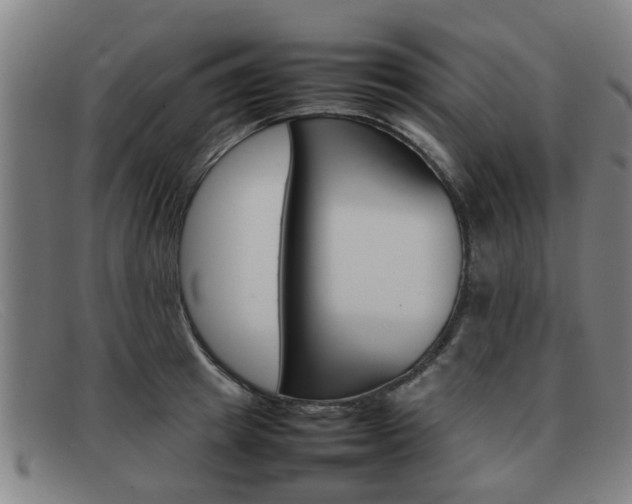 X0000092060849200709121004