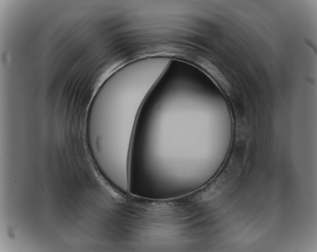 X0000092060850200709121004