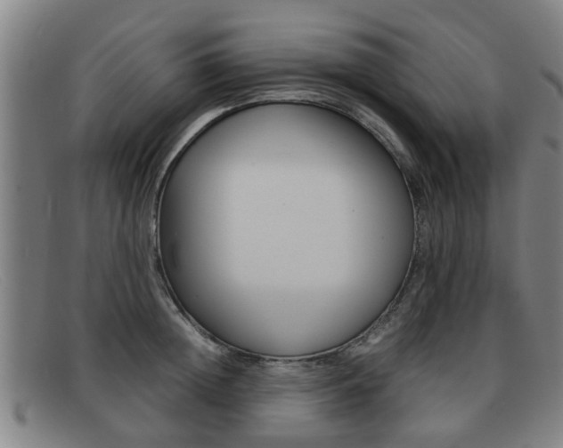 X0000092060852200709121004