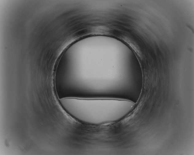 X0000092060853200709121004