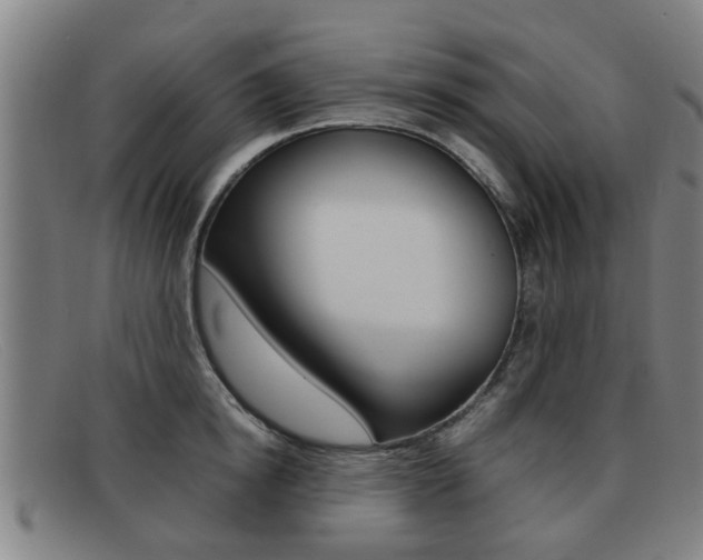 X0000092060854200709121004