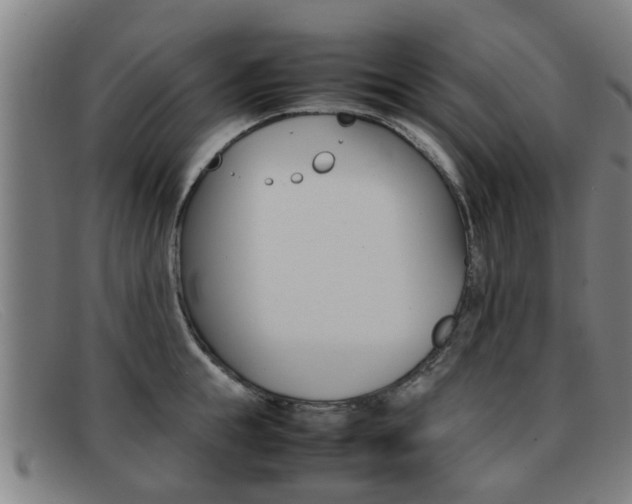 X0000092060855200709121004