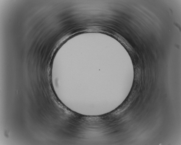 X0000092060856200709121004