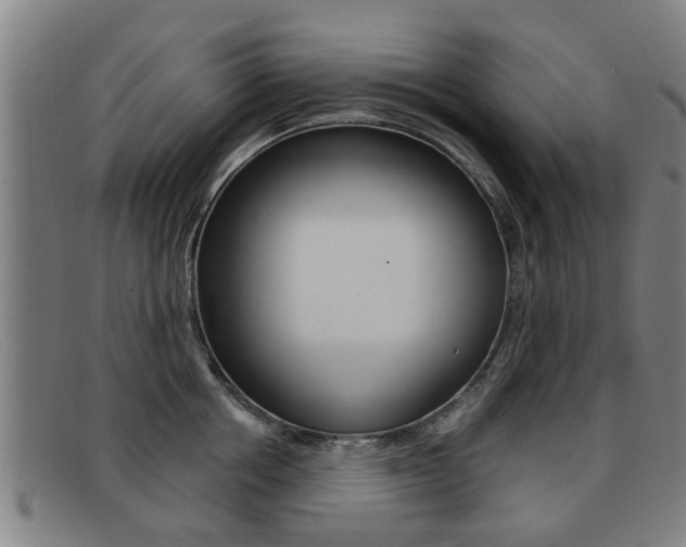 X0000092060858200709121004