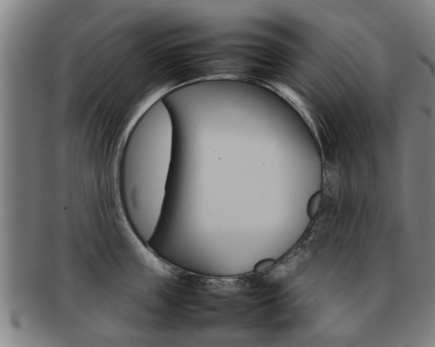 X0000092060859200709121004