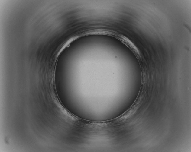 X0000092060860200709121004