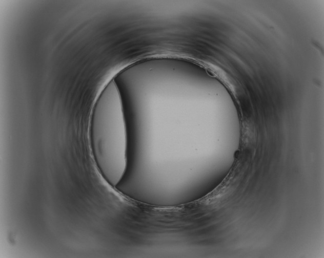 X0000092060863200709121004