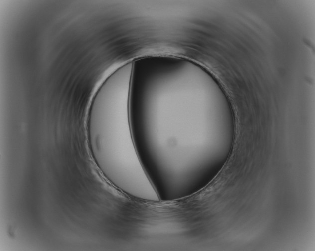 X0000092060864200709121004