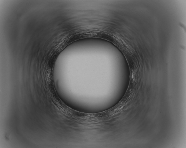 X0000092060867200709121003