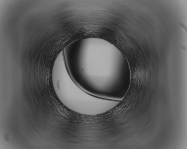 X0000092060868200709121003