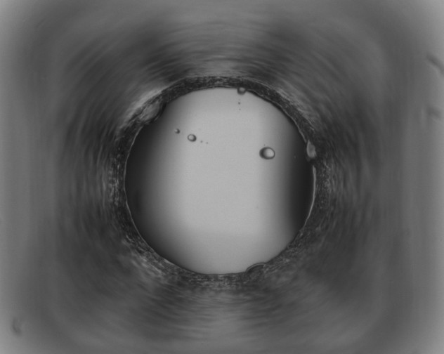 X0000092060872200709121003