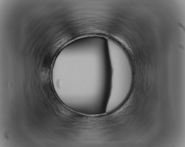 X0000092060873200709121003