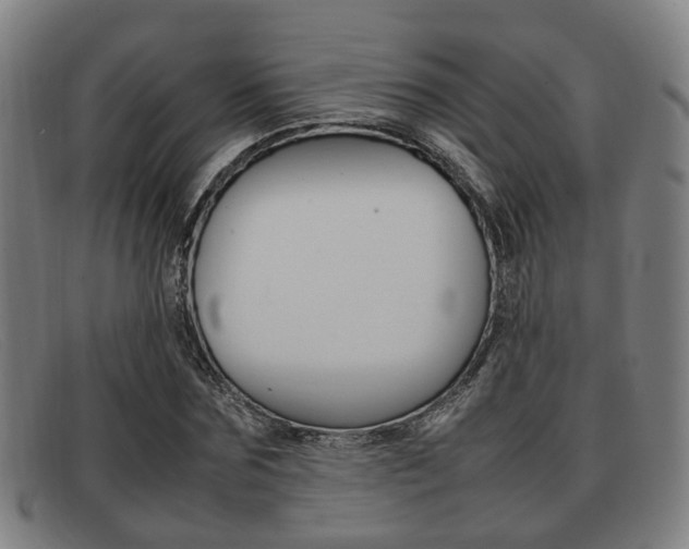 X0000092060875200709121003