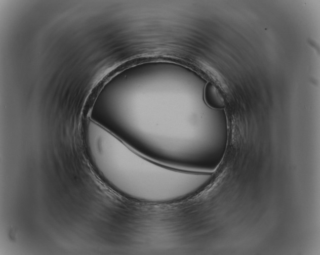 X0000092060876200709121003