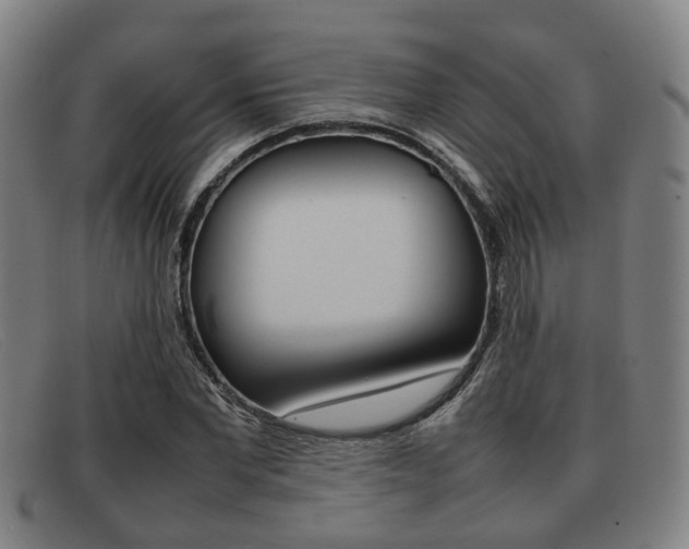 X0000092060877200709121003