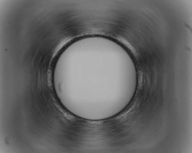 X0000092060878200709121003