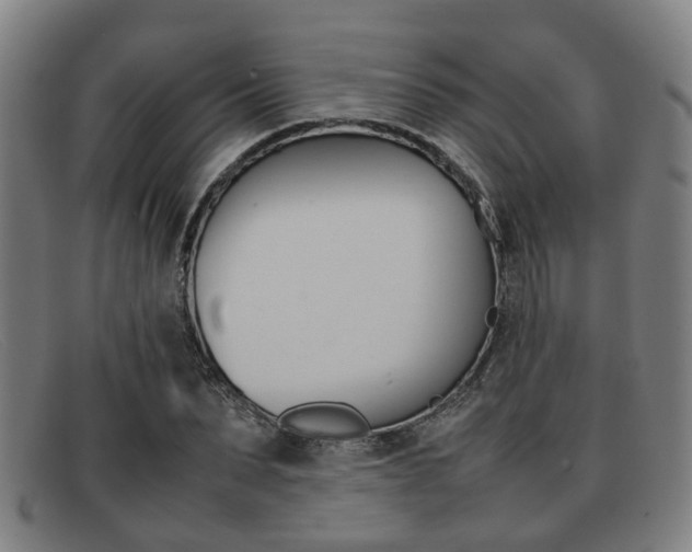X0000092060879200709121003