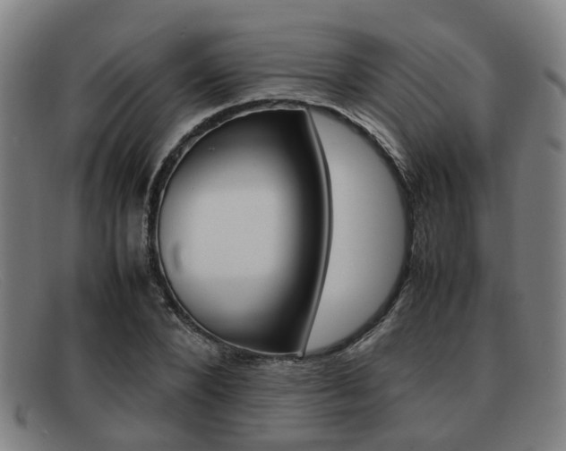 X0000092060880200709121003