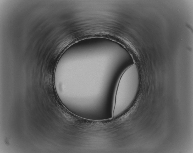 X0000092060881200709121003