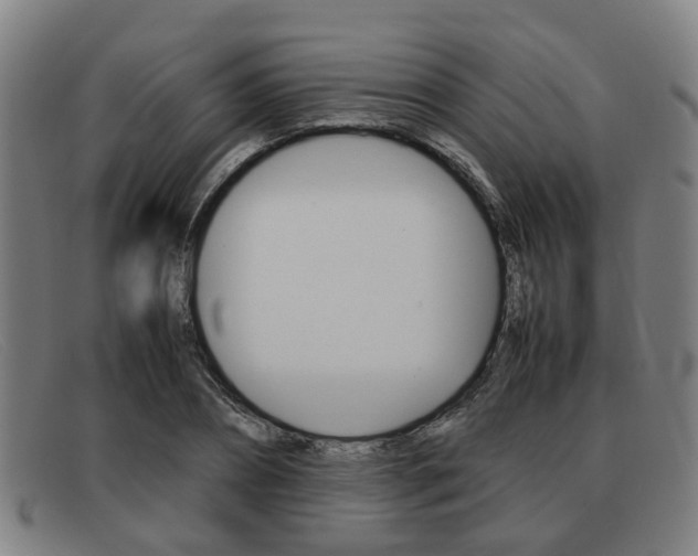 X0000092060882200709121003