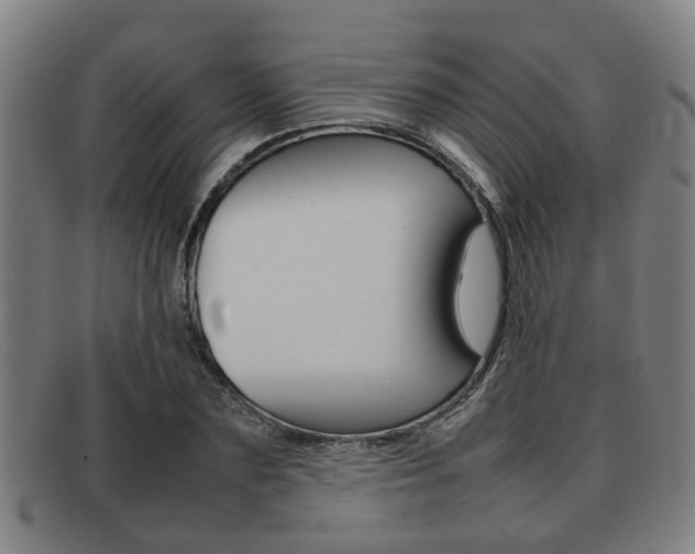 X0000092060883200709121003
