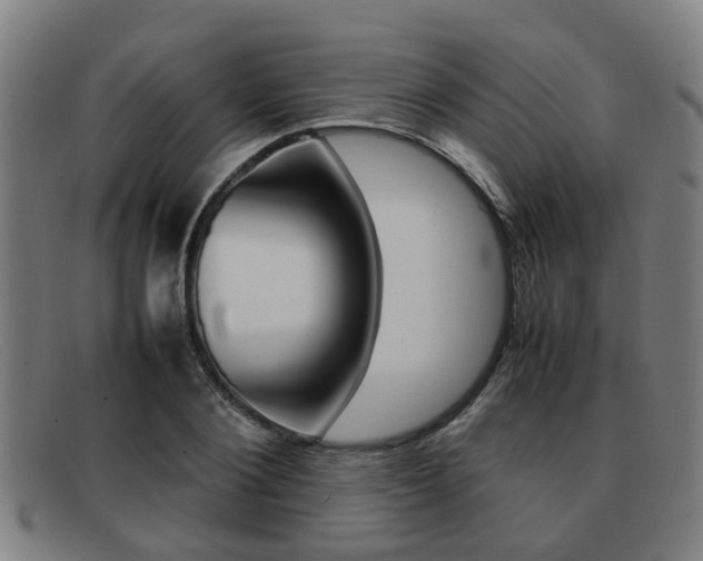 X0000092060884200709121003