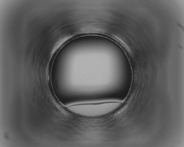 X0000092060885200709121003