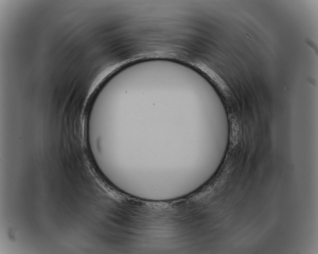 X0000092060886200709121003