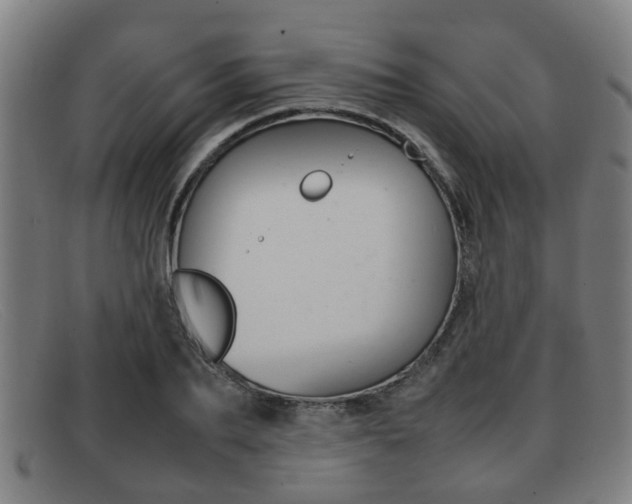 X0000092060887200709121003