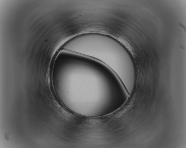 X0000092060888200709121003