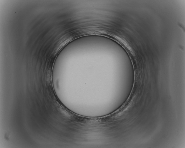 X0000092060889200709121003