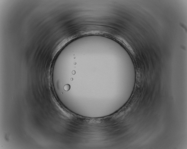X0000092060890200709121003