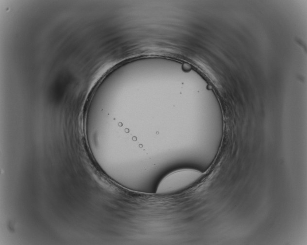 X0000092060891200709121003