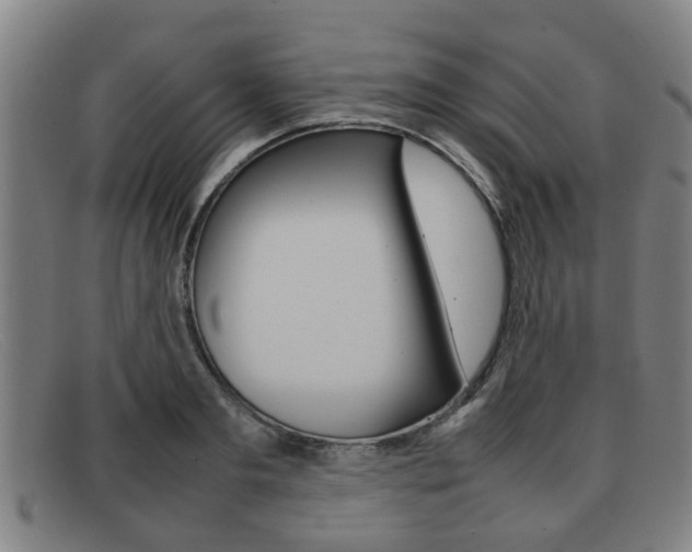 X0000092060893200709121003