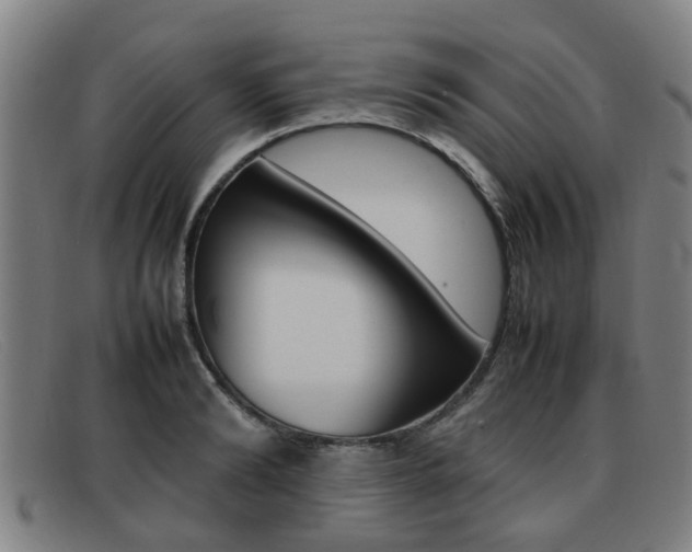 X0000092060894200709121003