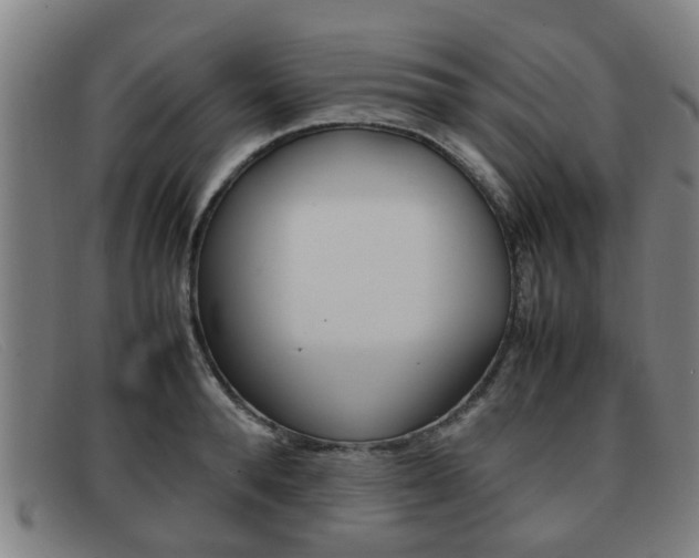 X0000092060896200709121003